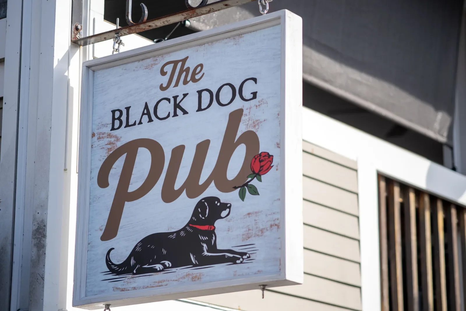 The Black Dog Pub restaurant on Martha's Vineyard